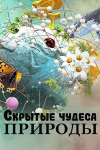 Скрытые чудеса природы