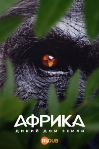 Африка: Дикий дом Земли