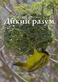 Постер к сериалу Дикий разум
